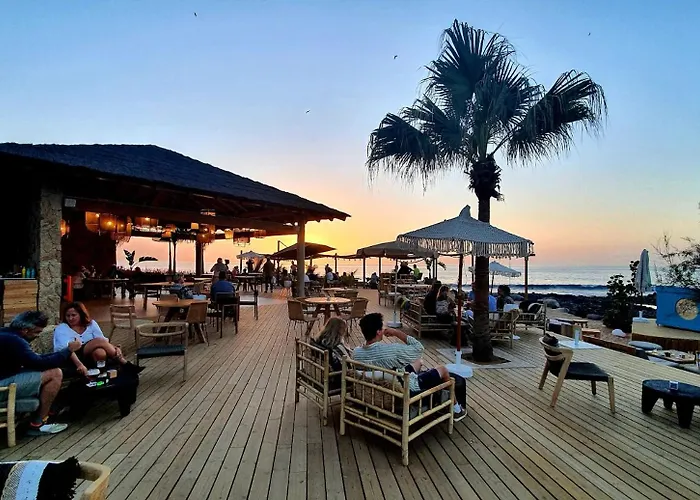 公寓 Garden Serenity Retreat And Workspace With Heated Pools And Gym 滨海帕尔姆