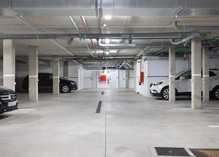 Garden Serenity Retreat And Workspace With Heated Pools And Gym 公寓 滨海帕尔姆